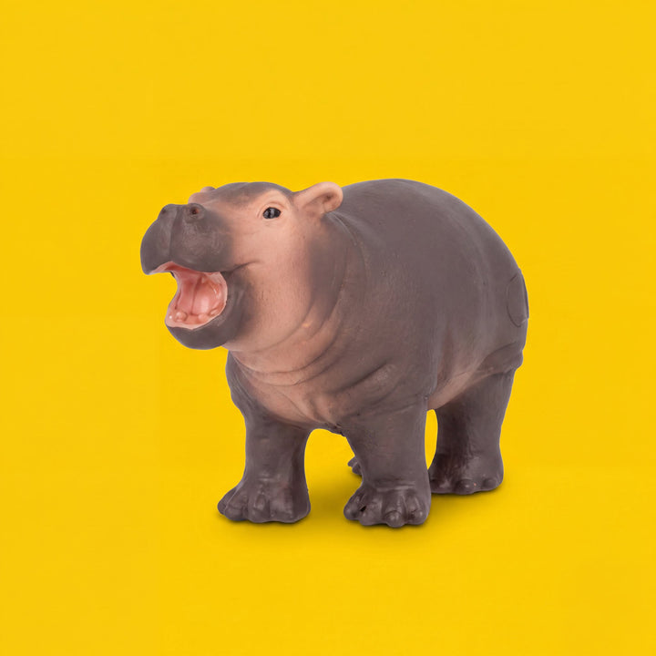 Hippopotamus Calf