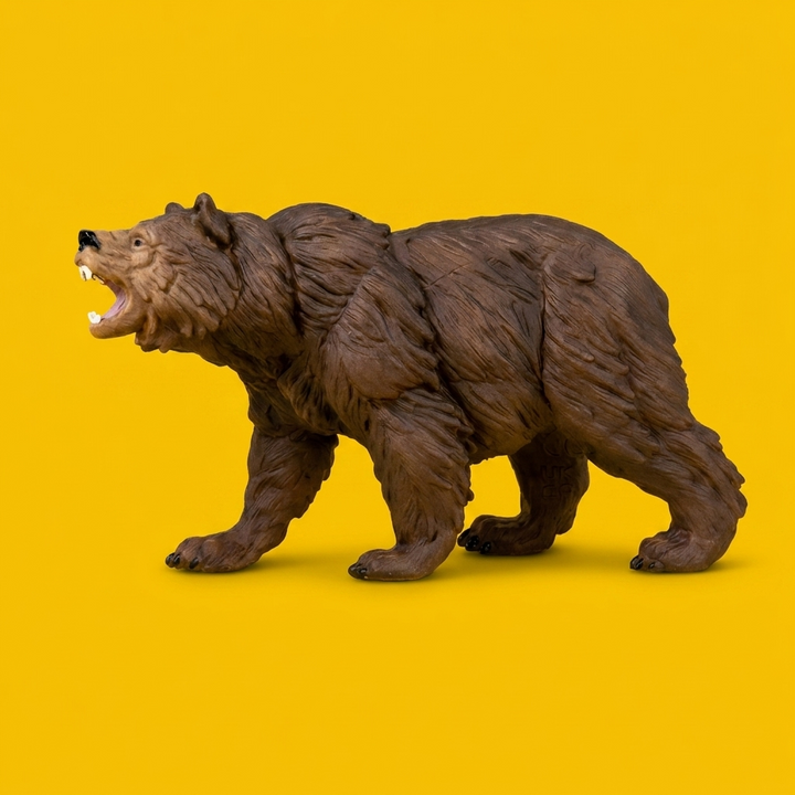Grizzly bear