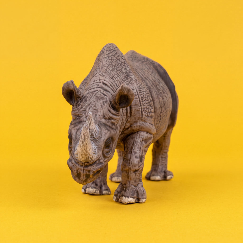 Black Rhinoceros