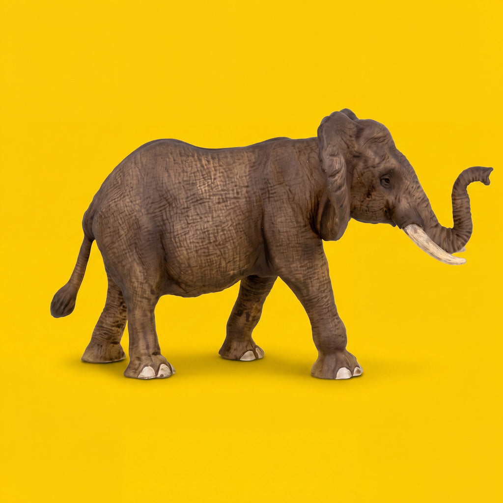 African Elephant