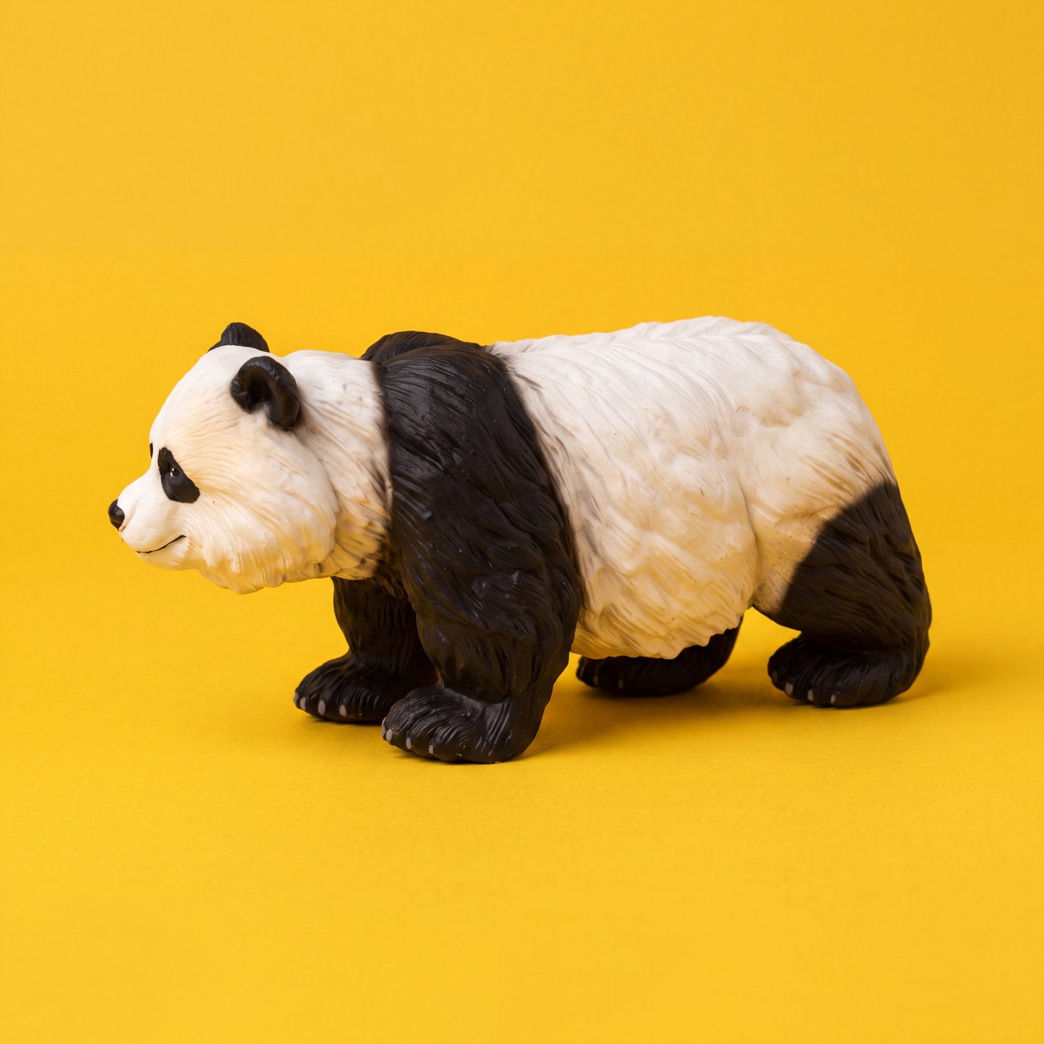 Giant Panda