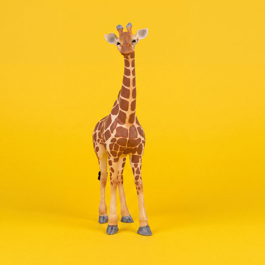 Giraffe Male