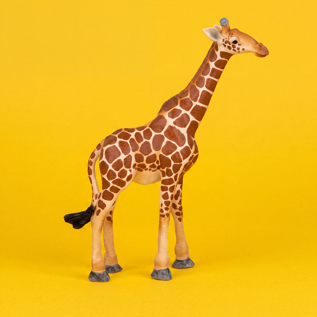 Giraffe Male