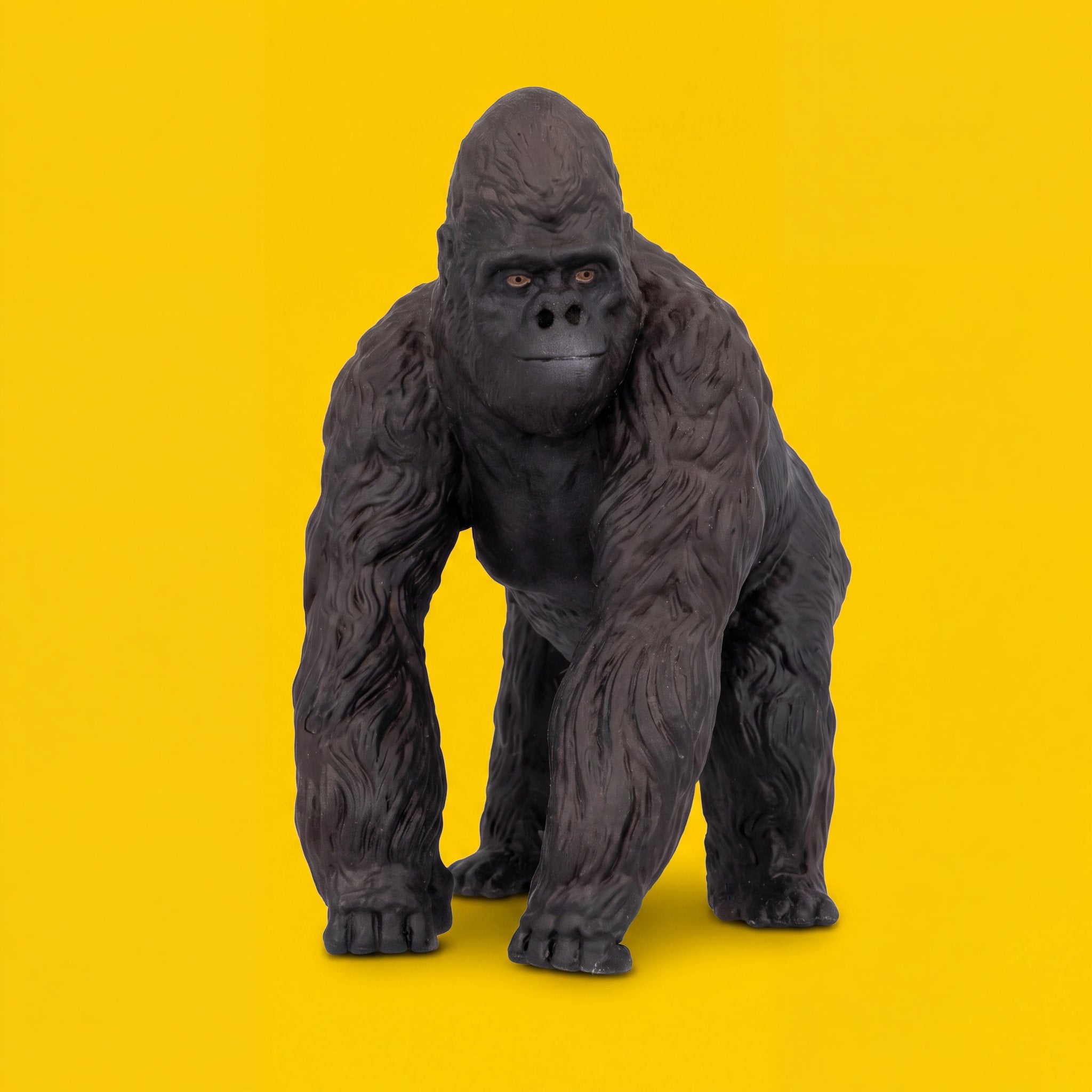 Silverback Gorilla