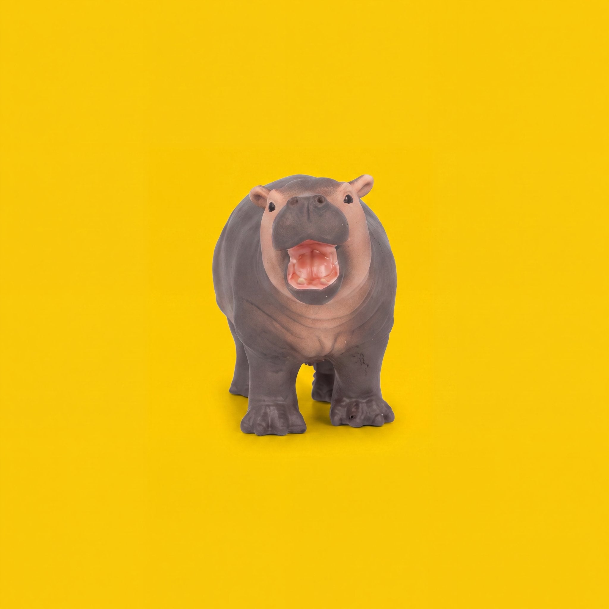 Hippopotamus Calf