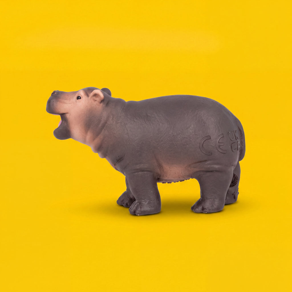 Hippopotamus Calf