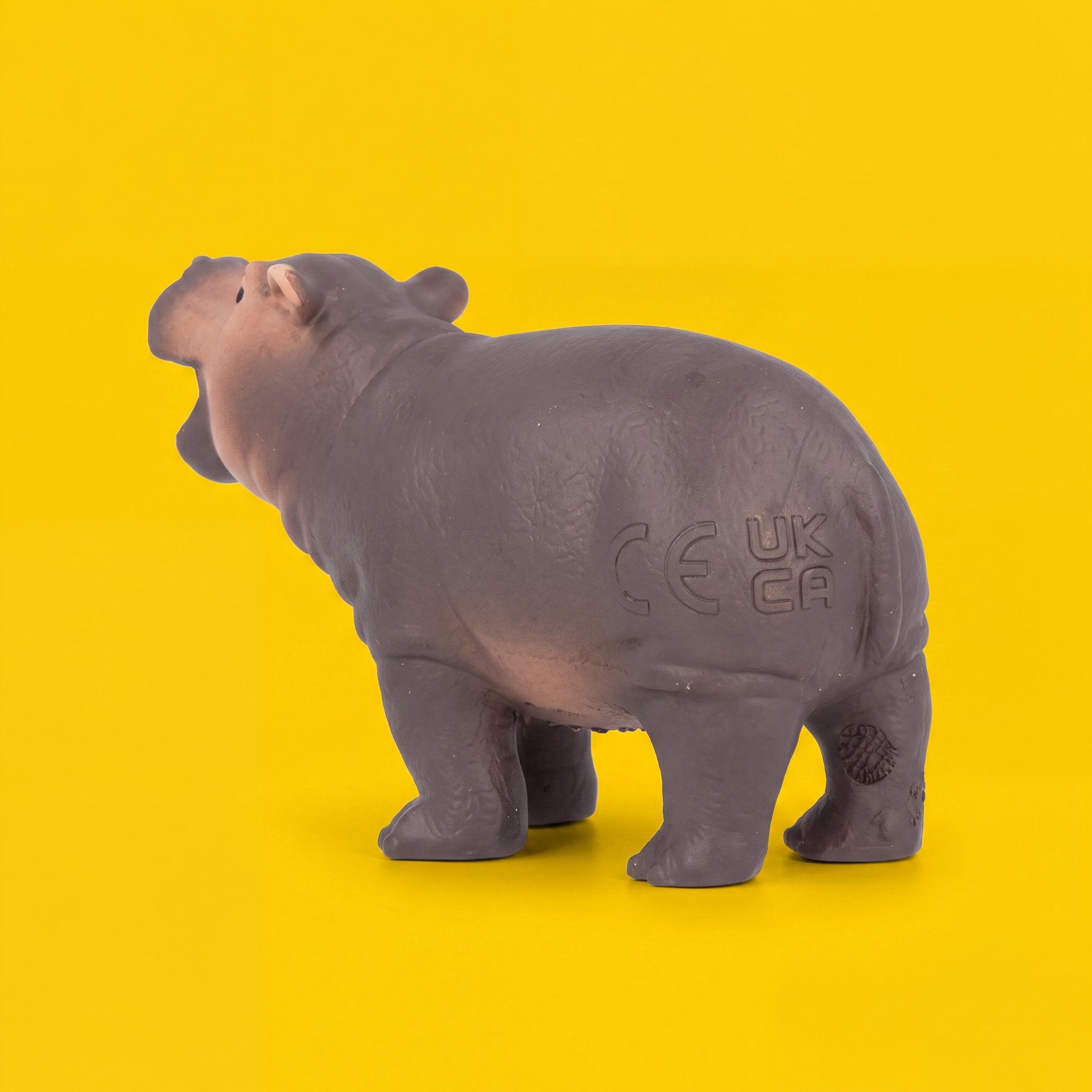 Hippopotamus Calf