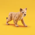 Lion Cub