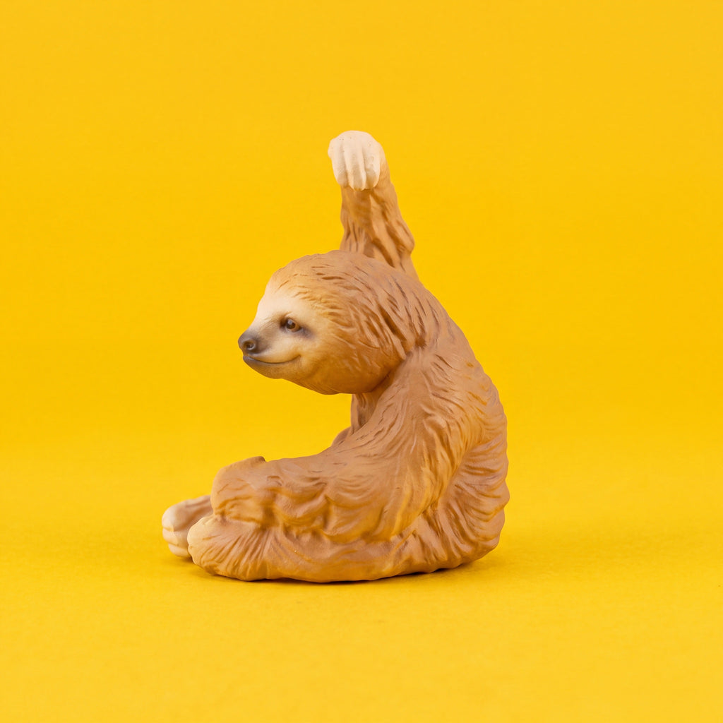 Sloth