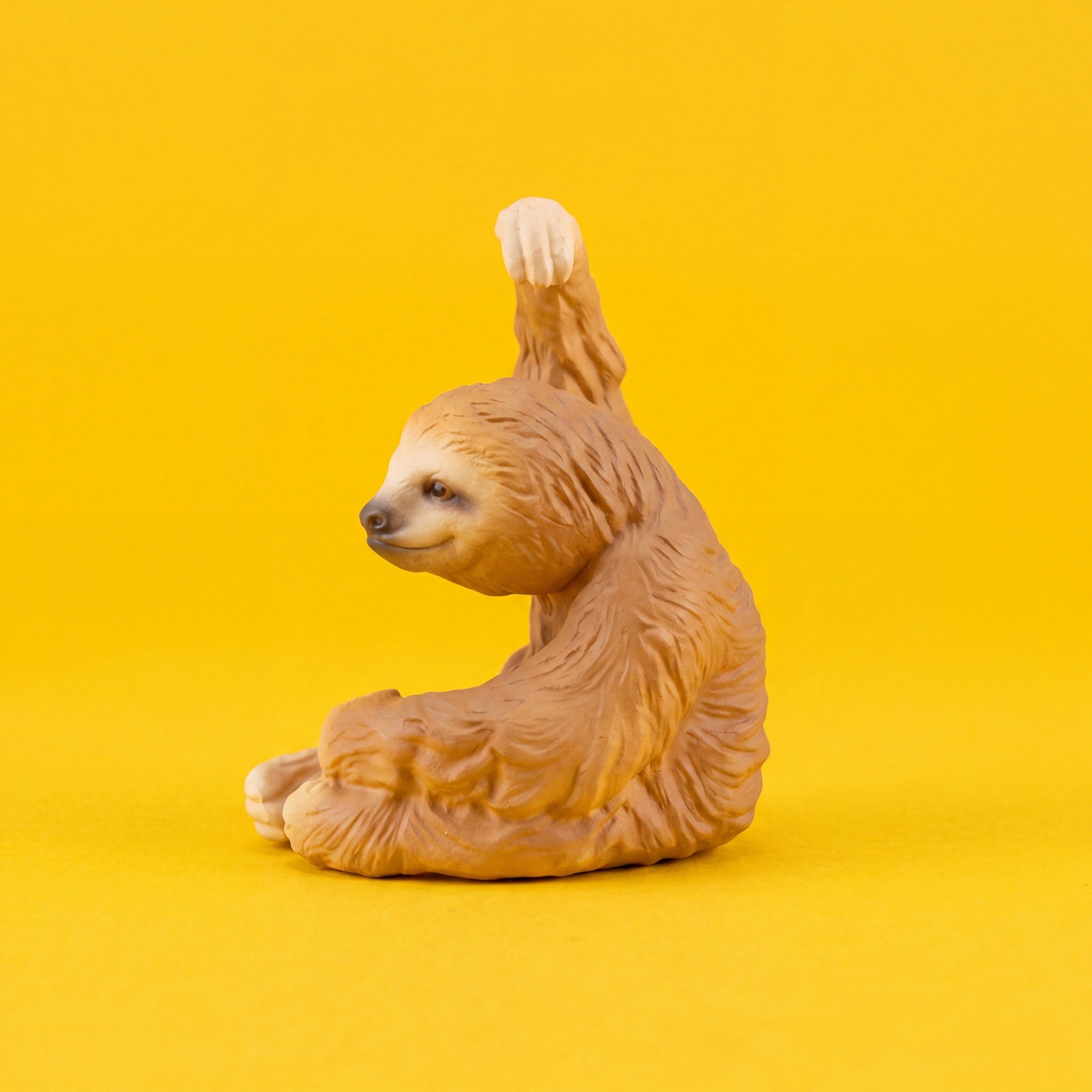 Sloth