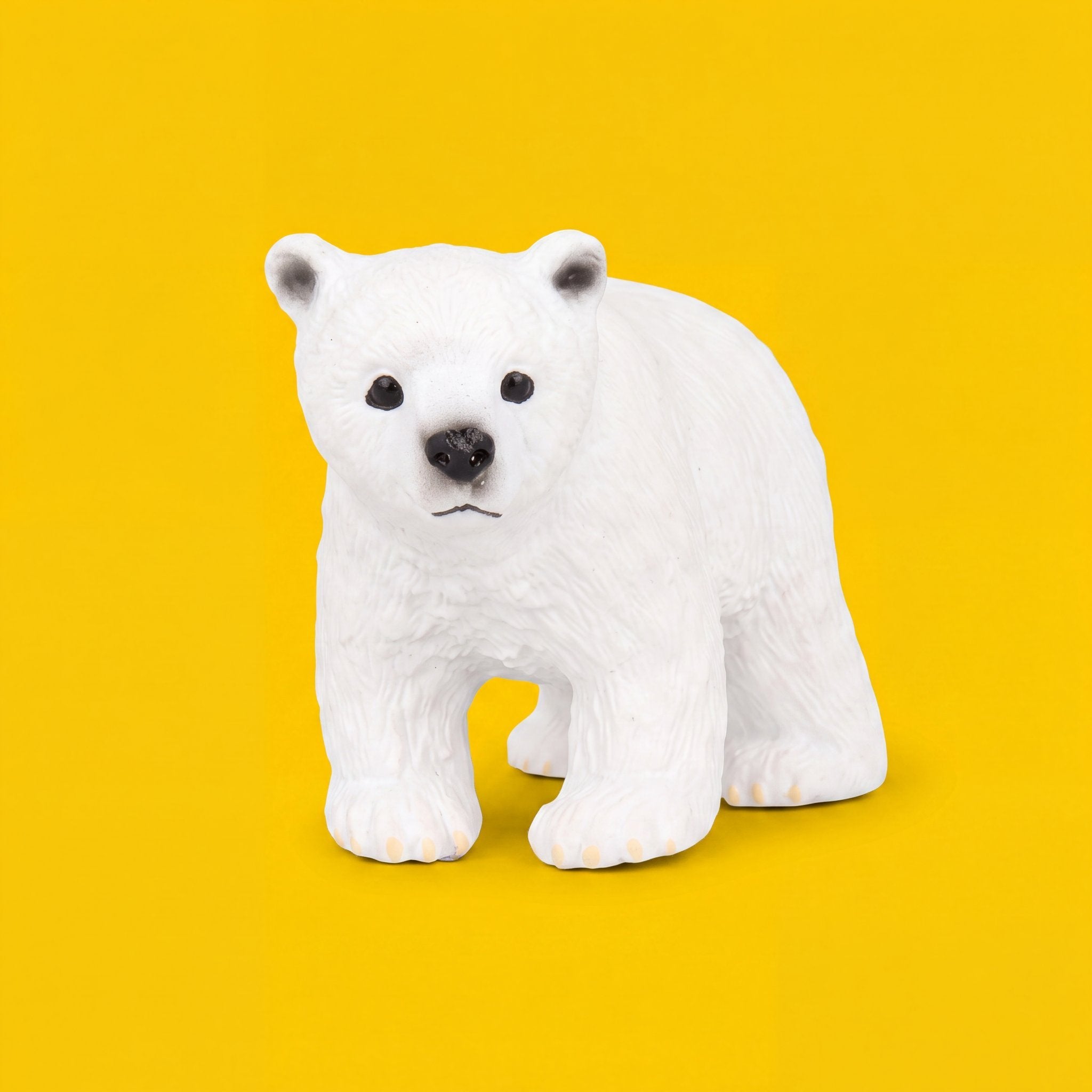 Polar Bear Cub