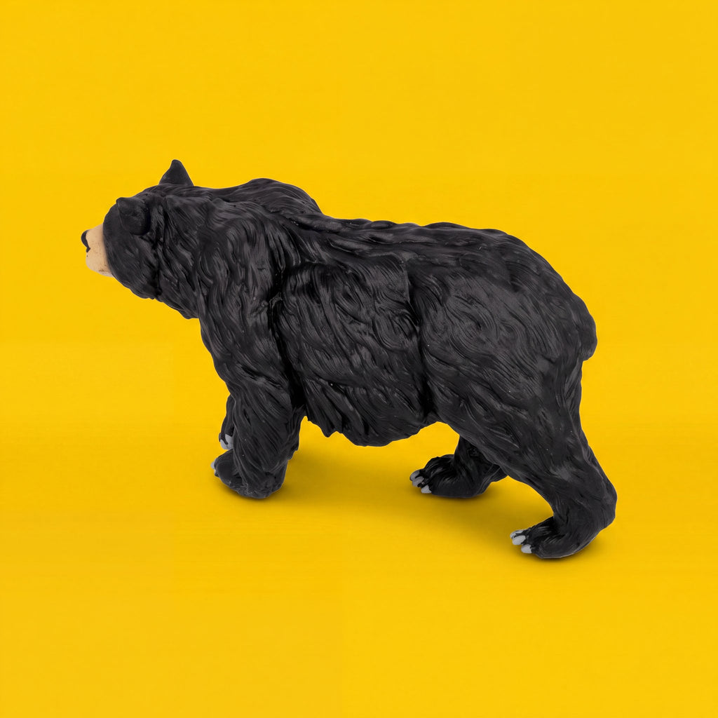 Black Bear