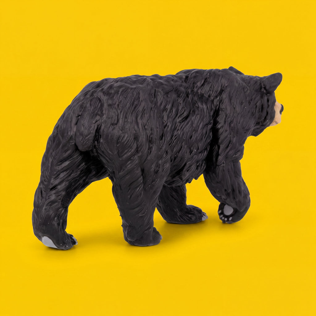 Black Bear