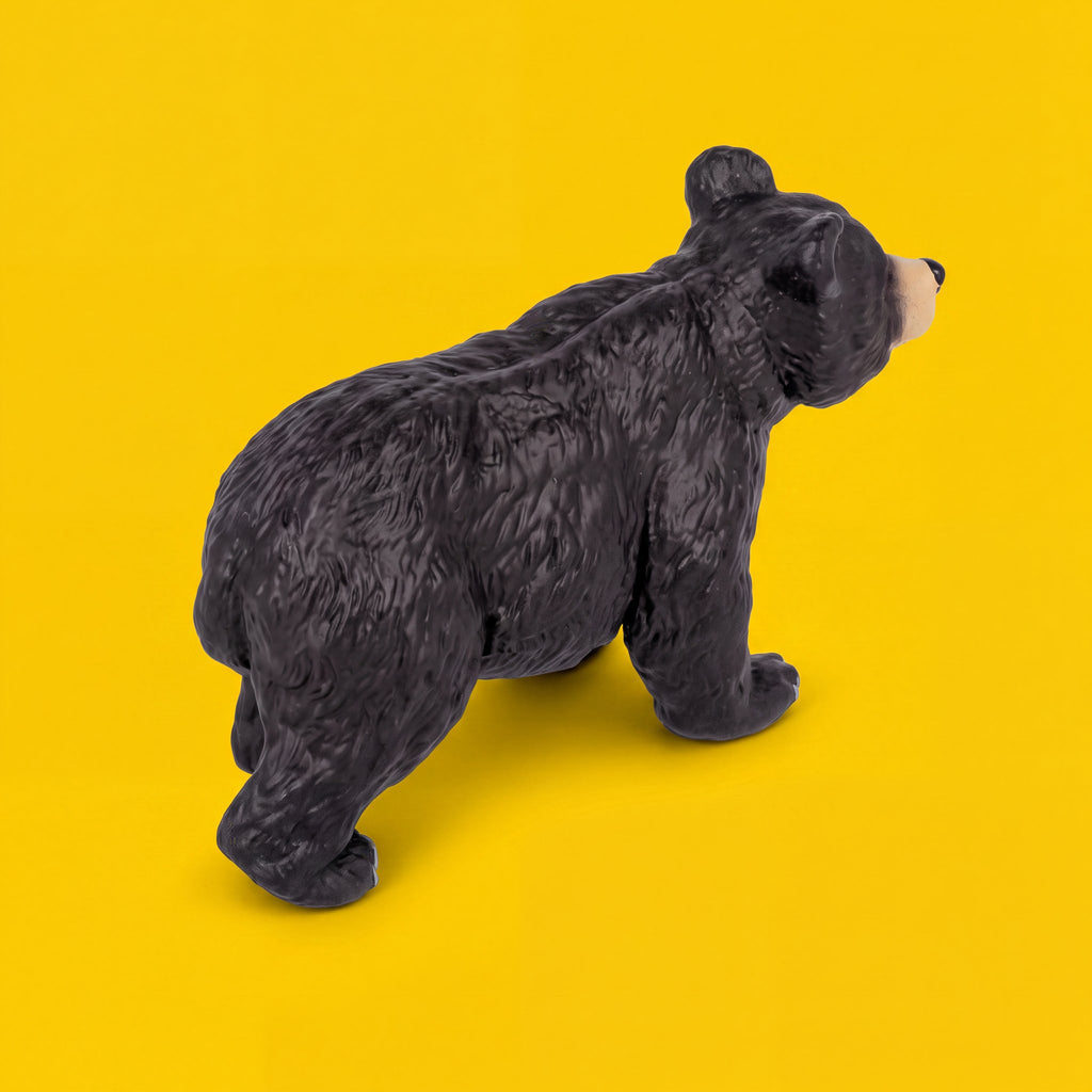 Black Bear Cub