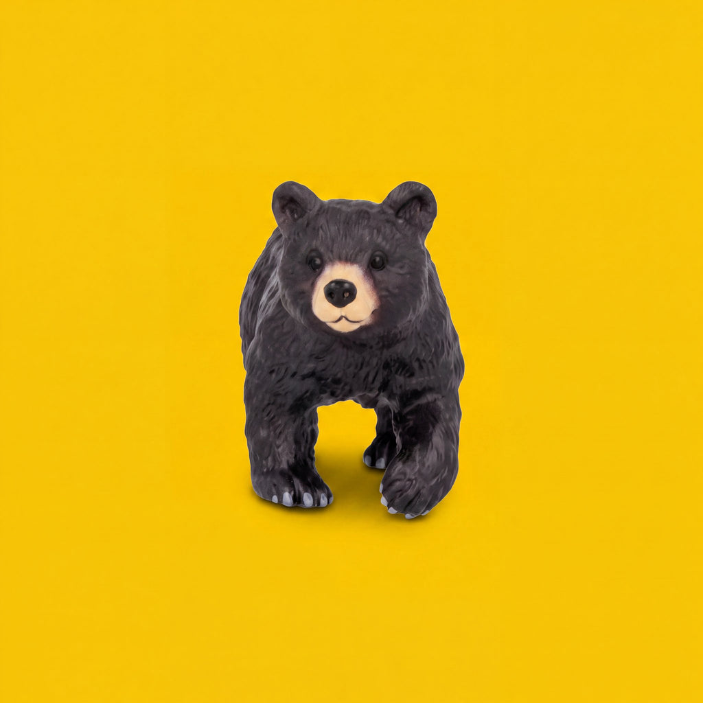 Black Bear Cub