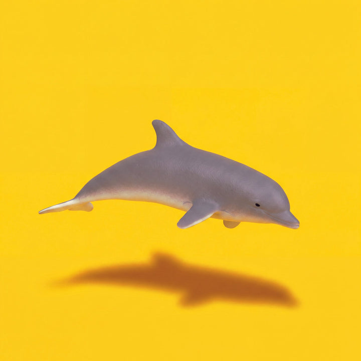 Dolphin