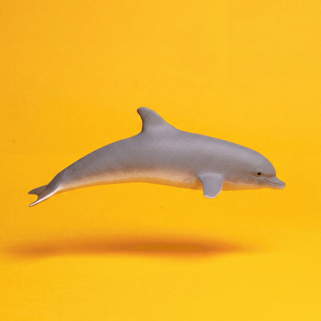 Dolphin