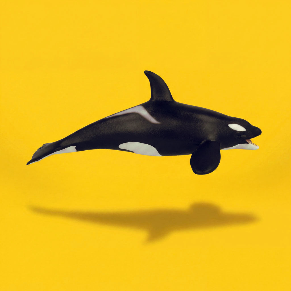 Killer Whale