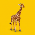 Giraffe Male