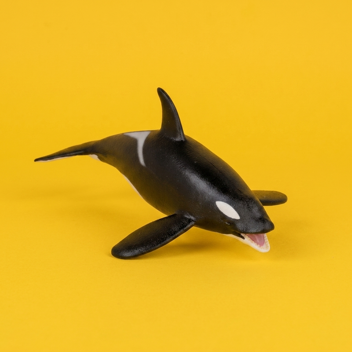 Killer Whale