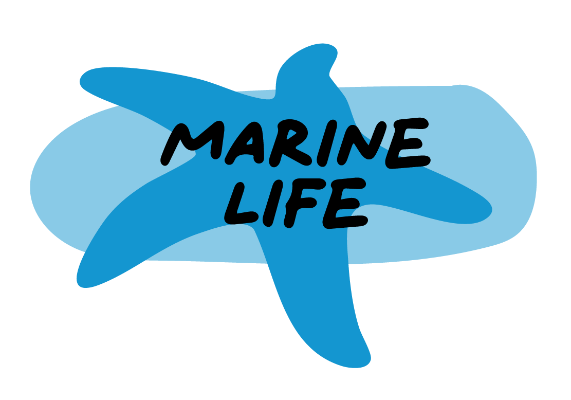 Marine Life