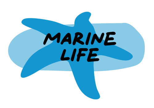 Marine Life