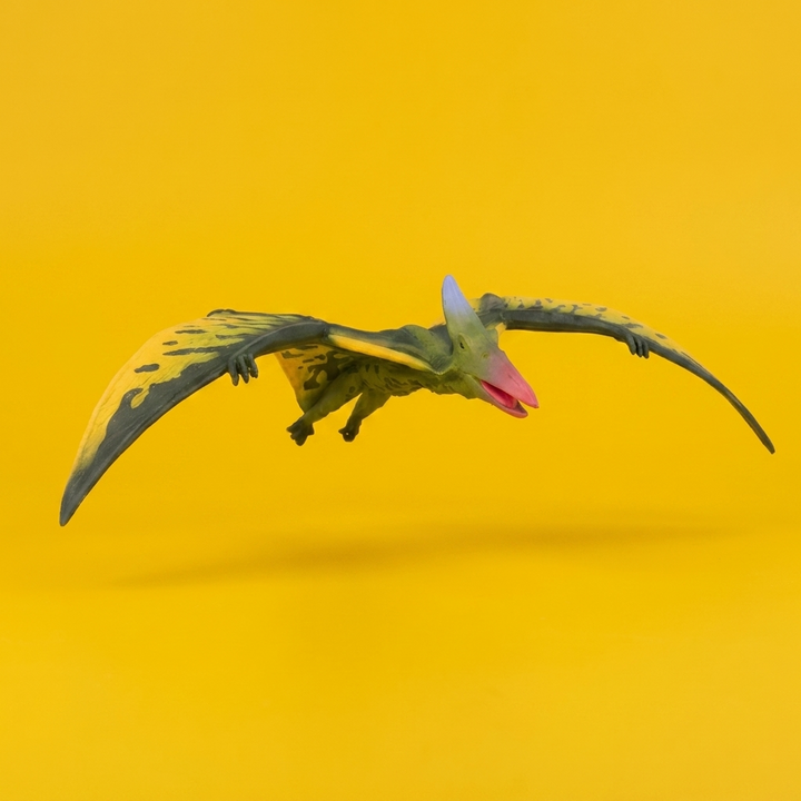Ptenarodon