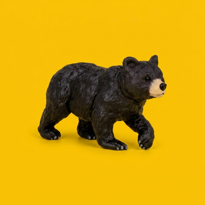 Black Bear Cub