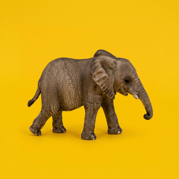 African Elephant Calf
